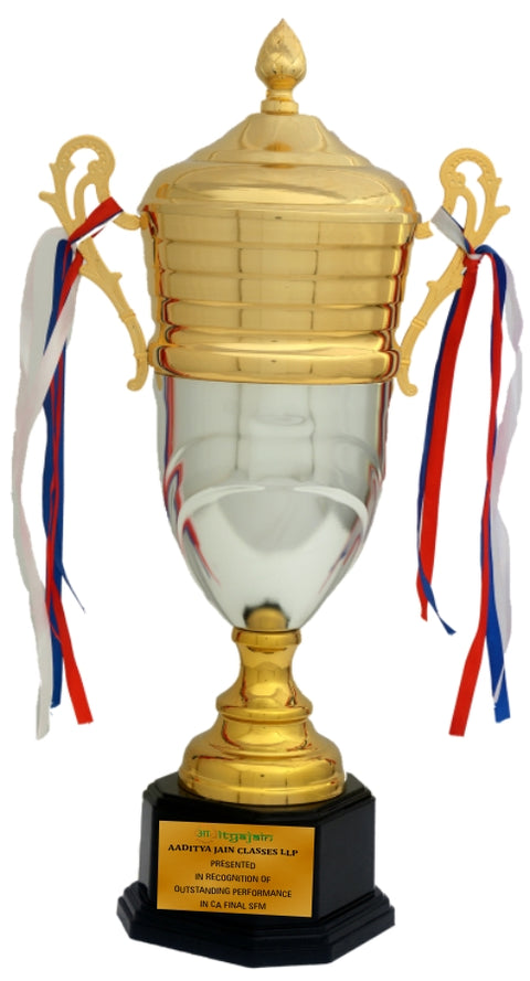 Economical Metal Sports Cup