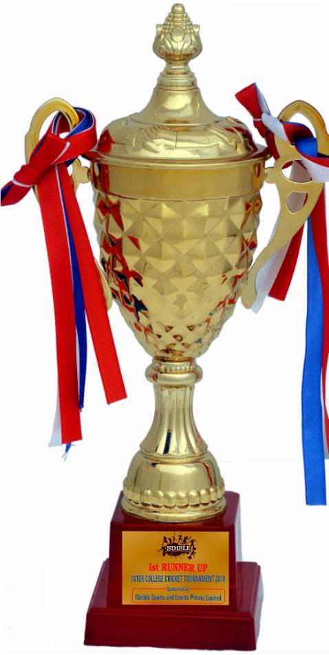 Economical Metal Sports Cup