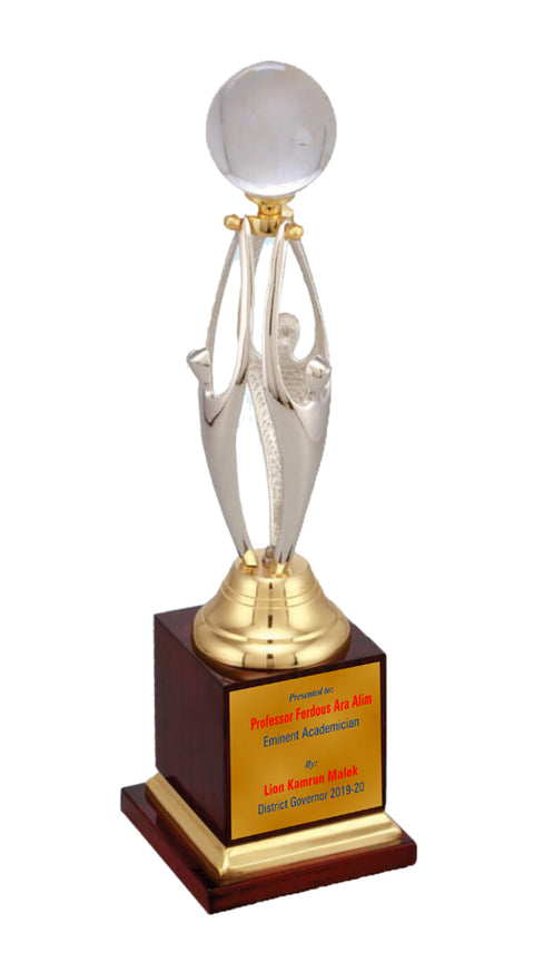 3D Lady Team awork Award