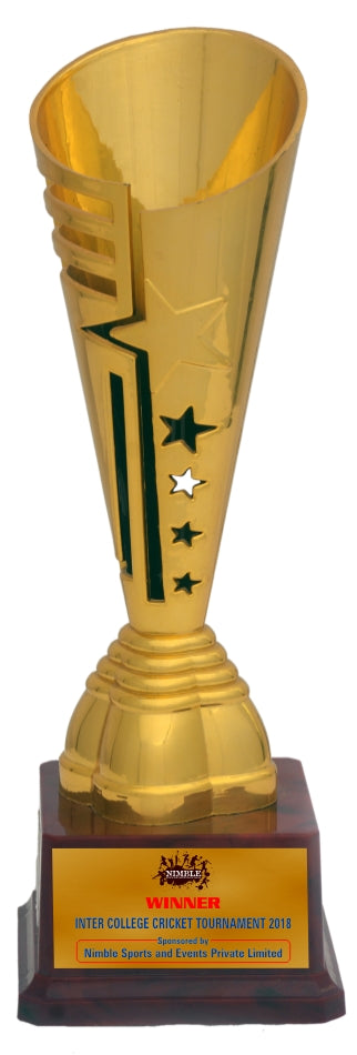 Designer Sports Cup