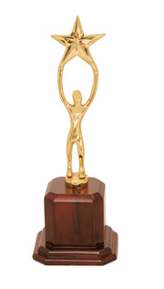 Gold Plated Star Boy Award