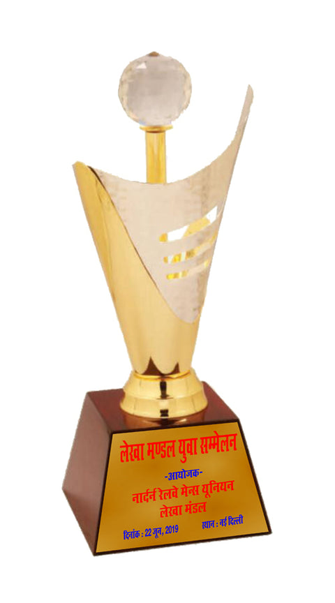 Two Tone Crystal Award