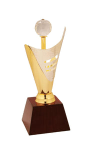 Two Tone Crystal Award