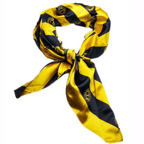 Lions Scarf
